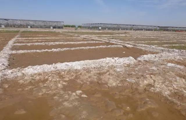 新政引領土壤治理 技術集成驅動土地質量提升與生態修復新突破